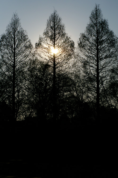 d0100156_2092543.jpg