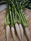 c0153259_182633.jpg
