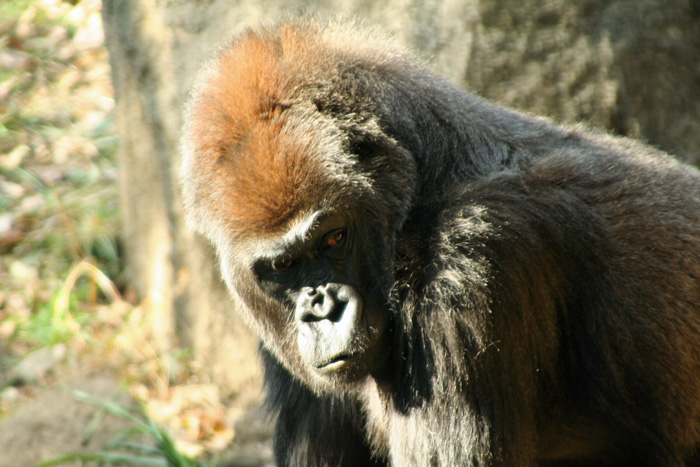 e0086860_23264772.jpg