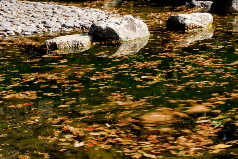 d0013363_0462032.jpg