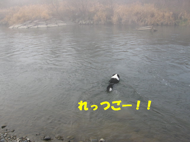 e0117976_13551496.jpg