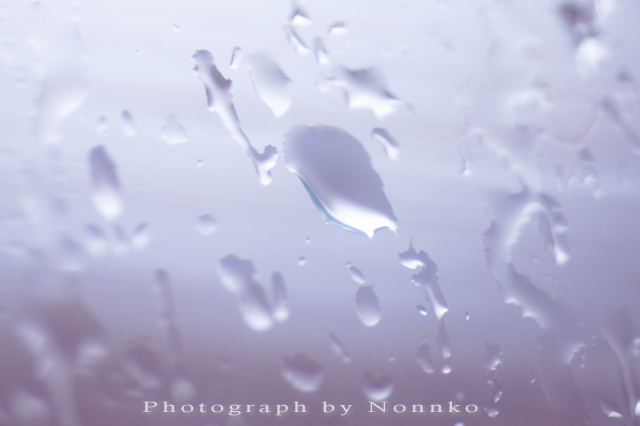 c0106977_11114787.jpg