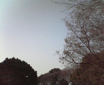 d0056881_2314853.jpg
