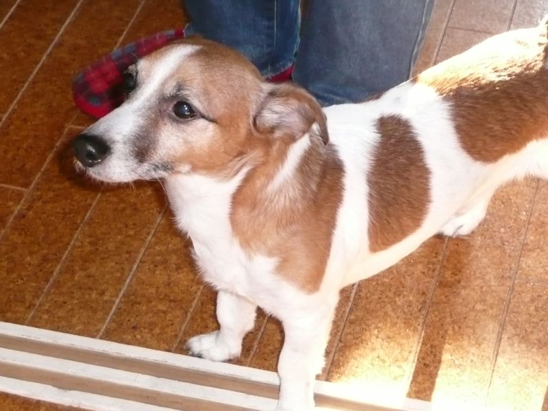 f0146581_0145432.jpg