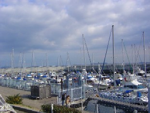 b0076384_0432591.jpg