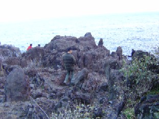 b0076384_055221.jpg