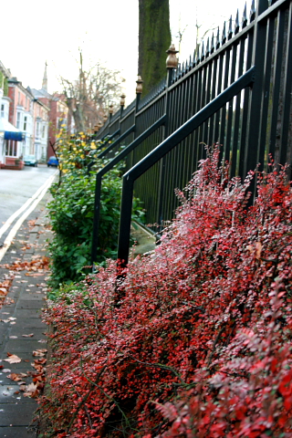 f0093592_22544216.jpg