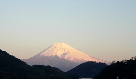 c0000093_8533457.jpg