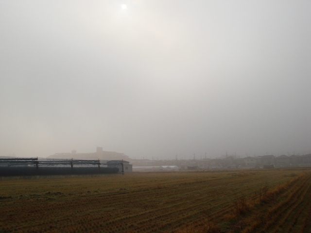 e0111793_1755337.jpg