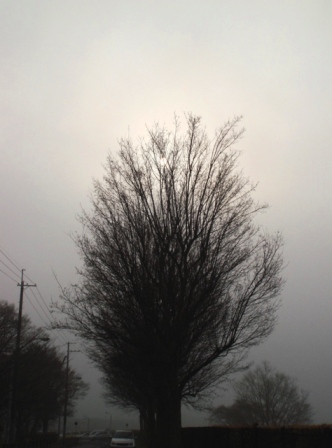 e0111793_212759100.jpg