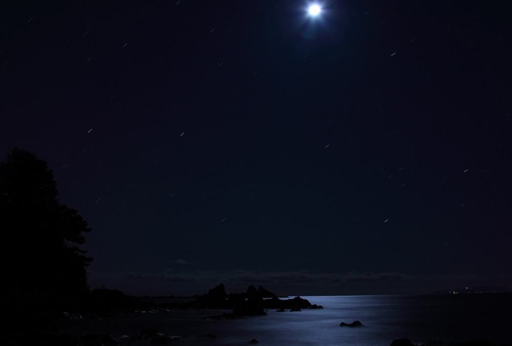 c0032494_6553774.jpg