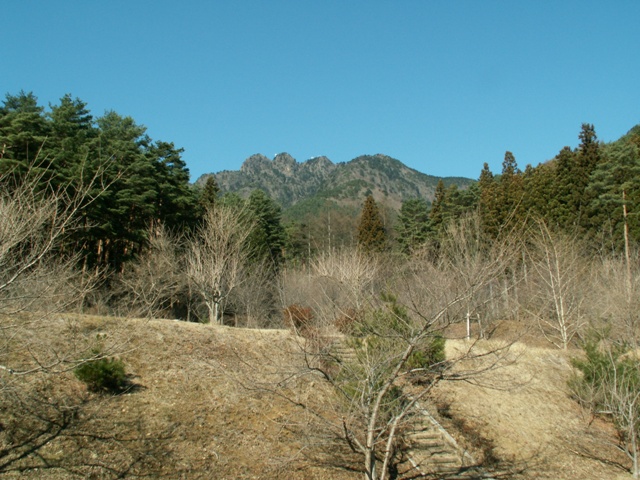 b0039898_16295697.jpg