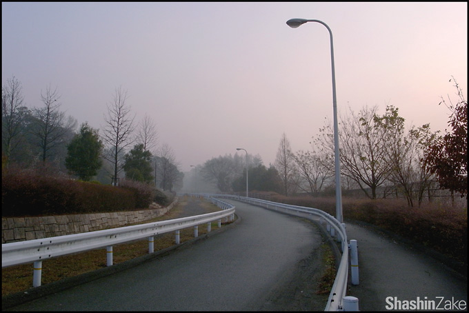 c0102003_17463323.jpg