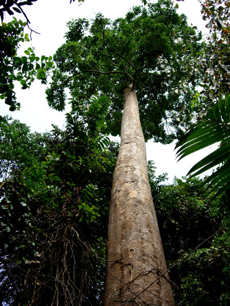 f0115214_1424477.jpg