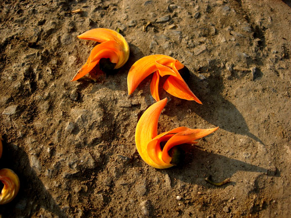 f0115214_14323435.jpg