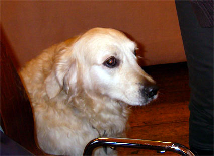 d0062721_621266.jpg