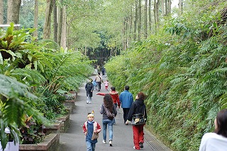 f0011322_0335040.jpg