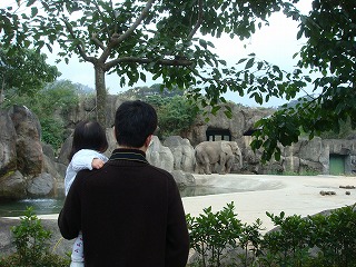 f0011322_036321.jpg