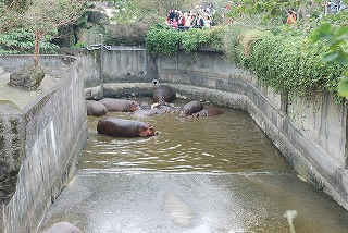 f0011322_0474080.jpg