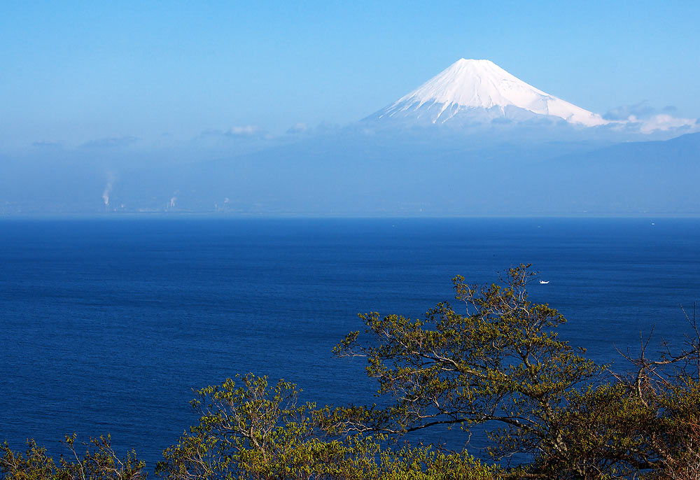 f0035323_1181456.jpg