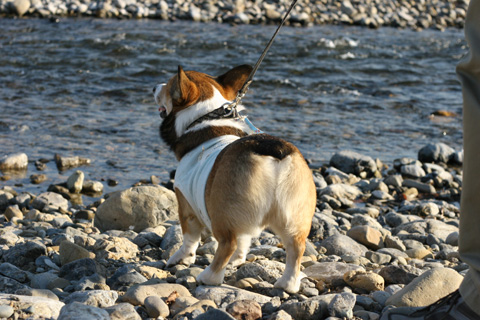 e0071225_316370.jpg