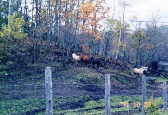 e0024126_20475810.jpg