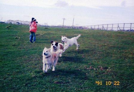 e0024126_20584217.jpg