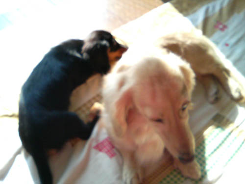 c0117831_1551269.jpg