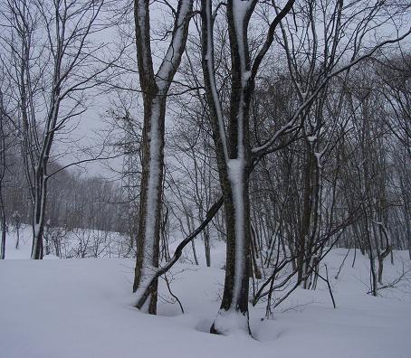 f0118332_23472629.jpg
