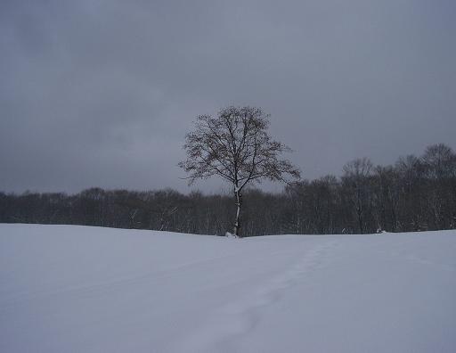 f0118332_23554149.jpg