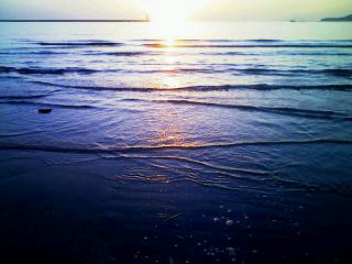 a0031338_204023.jpg