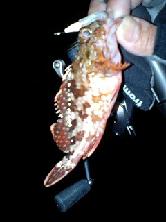 f0009238_23421425.jpg