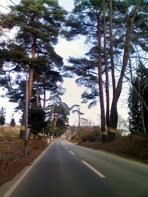 f0056038_103681.jpg