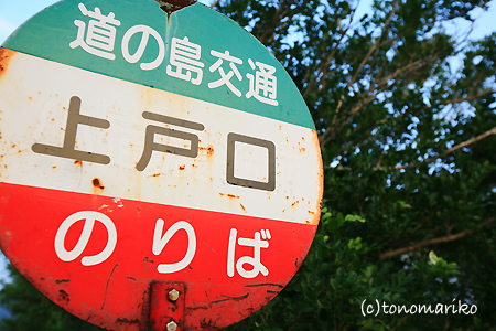 c0024345_039155.jpg