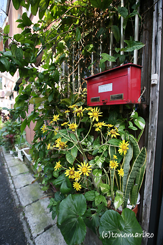 c0024345_039381.jpg