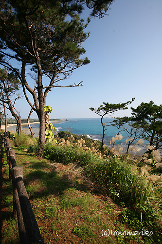 c0024345_040642.jpg