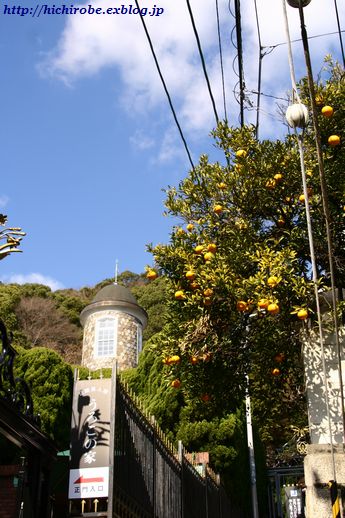 f0039446_19164096.jpg