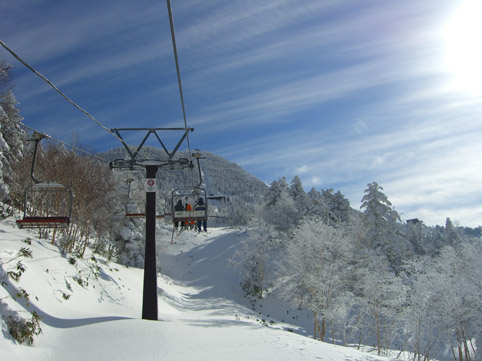 b0001947_1714060.jpg
