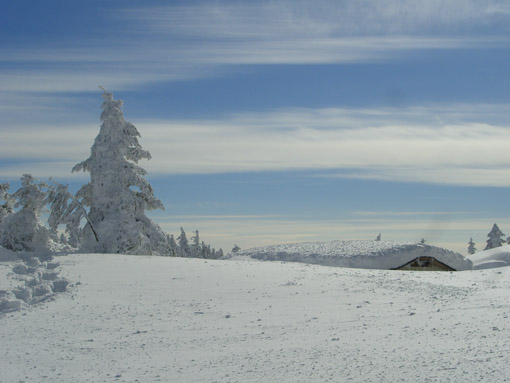 b0001947_17203618.jpg