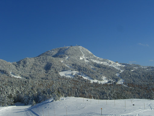 b0001947_17243530.jpg