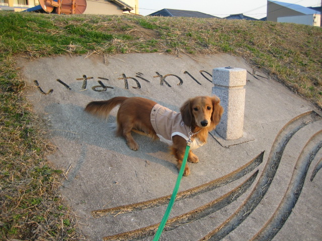 b0070950_1943426.jpg