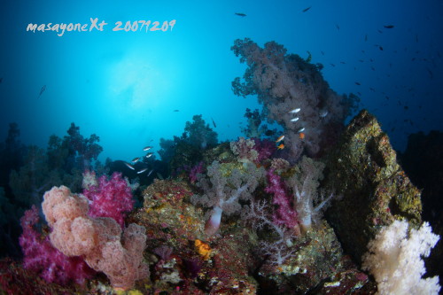 d0021952_134628.jpg