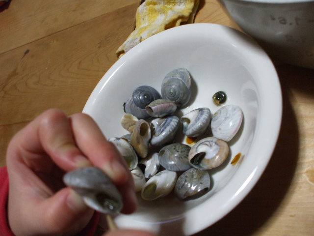 c0138868_20162891.jpg