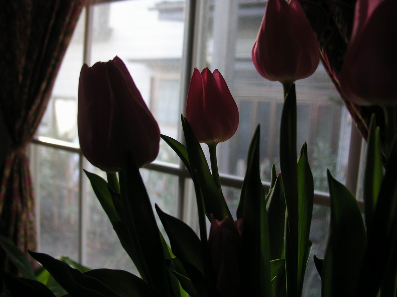 f0104169_9301514.jpg