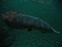 e0077373_112912.jpg