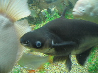 e0077373_11292360.jpg