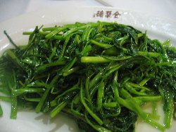 e0077373_11504276.jpg