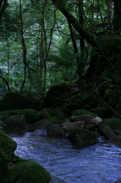 d0079278_17183566.jpg