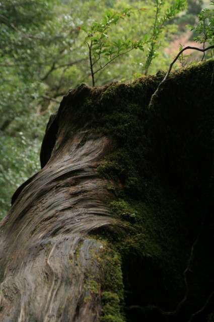 d0079278_17262266.jpg