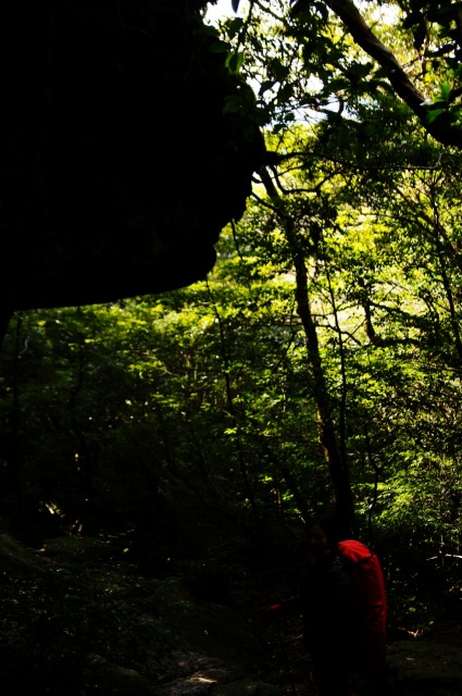 d0079278_175828100.jpg
